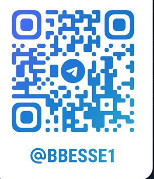 텔레그램 QR코드 @BBESSE1
